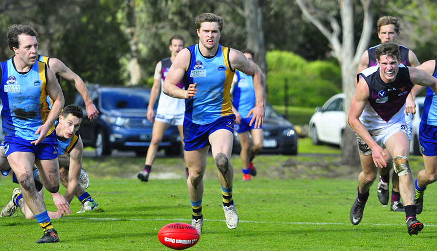 Mentone Panthers Football Club - VAFA