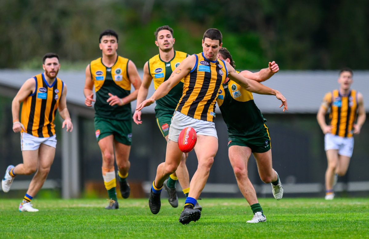 Victoria's best local footy jumper – You decide, NEWS